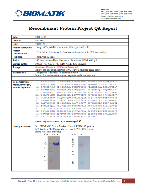 Sample Protein Project Report 1/1