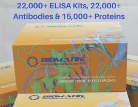 ELISA Kits, Recombinant Proteins, Antibodies